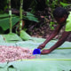 woman besides a heap of cacao seeds covered in pulp