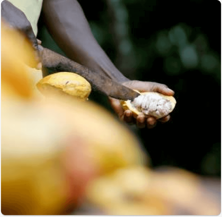 Removing ripe seeds from a pulp