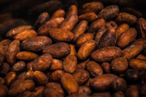 sustainable cocoa