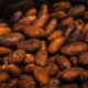 sustainable cocoa