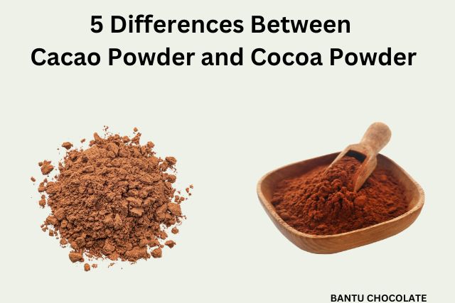 image with text that reads "5 differences between cacao powder and cocoa powder