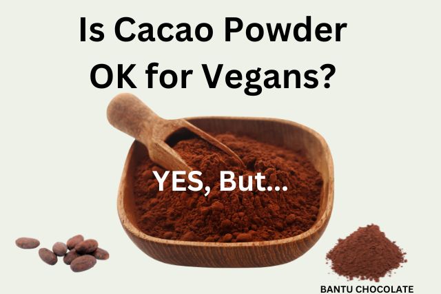 image of cacao powder with text that reads "Is Cacao Powder OK for Vegans? Yes, But...