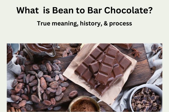 image of chocolate and cocoa beans with text that reads "what is bean to bar chocolate? true meaning, history & process